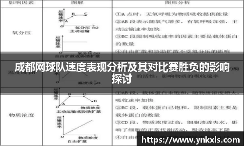 成都网球队速度表现分析及其对比赛胜负的影响探讨