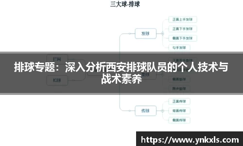 排球专题：深入分析西安排球队员的个人技术与战术素养
