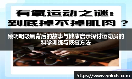 K1体育最新网址